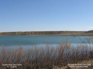Barrage de Oued Cherf dans la commune de Zouabi à Souk Ahras