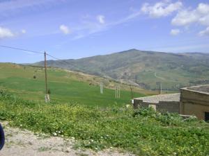 Paysage rural de Souk Ahras