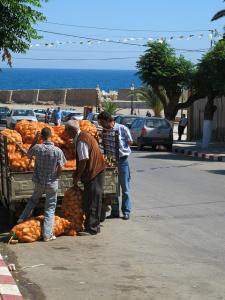 Livraison de Pommes de Terre au Marché Populaire de Tipaza