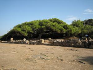 Ancienne muraille romaine à Tipaza