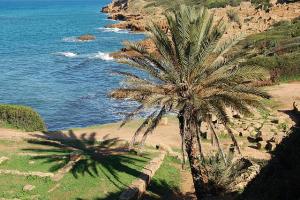 La Cité Romaine sur la Côte de Tipaza