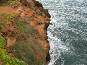 Une Falaise à Tipaza