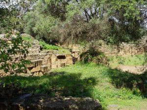 Ruine Romaines de Tipaza