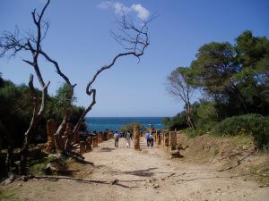 Ruines romaines à Tipaza