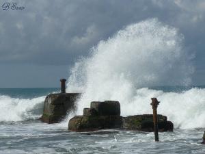 Vague sur la canon ,Gouraya Tipaza (Algérie)