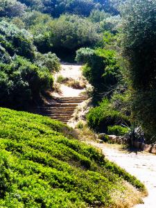 Escalier datant de l'époque Romaine à Tipaza