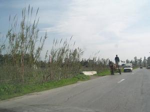 Route de la commune de Khemisti à Tipaza
