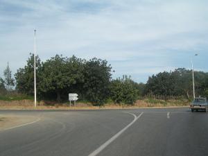 Carrefour près de Tipaza