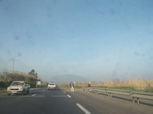 Autoroute de Tipaza