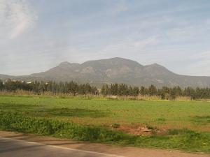 Champ agricole aux abords de Tipaza