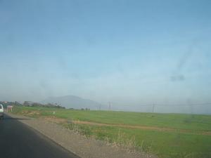 Champ agricoles aux abords de Tipaza