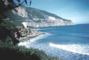 Plage de Chenoua à Tipaza