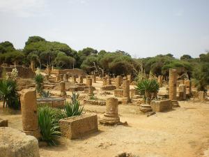 Colonnes Romaines de Tipaza