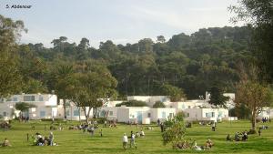 Arrivée de l'été à Tipaza