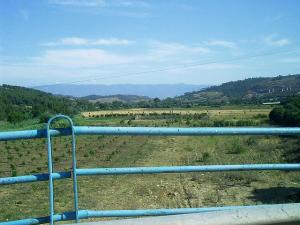 Champ arboricole de Tipaza