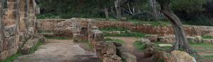 Ruines Romaines de Tipaza