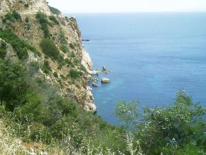 Falaise au Flanc de l'Eau (Tipaza)