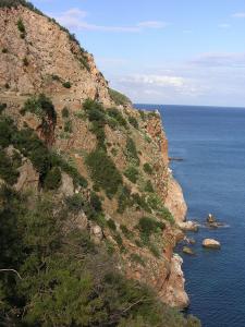 Falaise du mont Chenoua à Tipaza