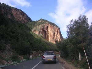 Autoroute parcourant la Forêt de Tipaza