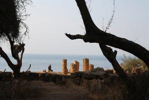 Colonnes Romaines de Tipaza