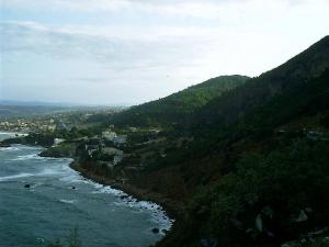 Plages et Verdure à Tipaza