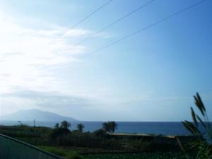 Jebel Chenoua à Tipaza