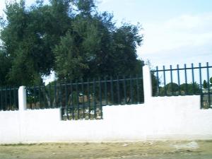 Cimetière de Tipaza