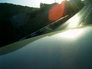 Autoroute à l'orée de Tipaza