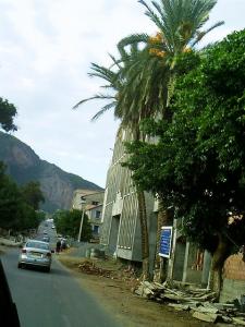 En route pour Cherchell (Tipaza)