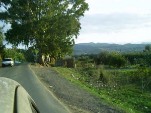 Jebel Chenoua à Tipaza