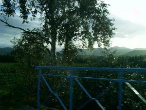 Ferme dans les environs de Djebel Chenoua à Tipaza