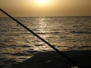 Pêche à la ligne sur une plage de Tipaza