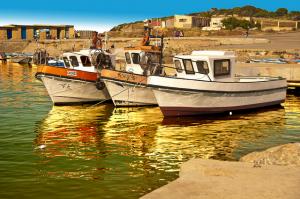 Port de Pêche de Tipaza