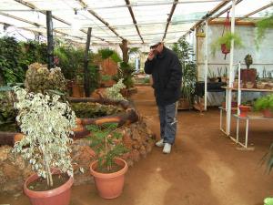 Magasin de Plantes à Tipaza