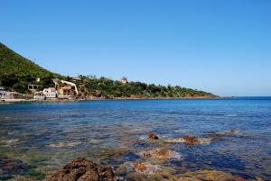 Plage Caroubier à Tipaza