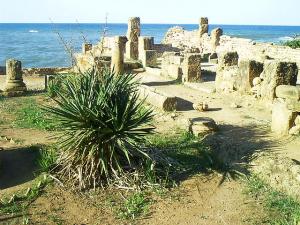 Colonnes Romaines de Tipaza