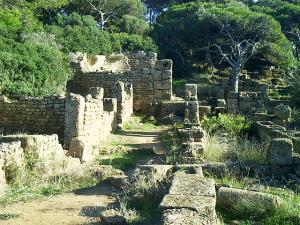 Patrimoine Romain de Tipaza