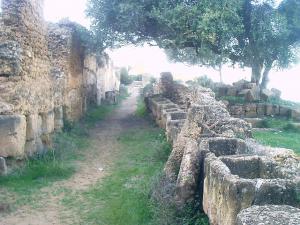 Sentier dans la cité Romaine de Tipasa