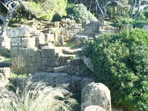 Ruines Romaines envahies par la végétation à Tipaza