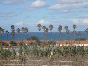 Sur la Côte de Tipaza