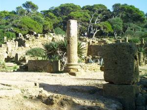 Une Colonne Romaine de Tipaza