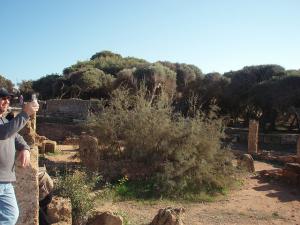Vestiges Romains de Tipaza