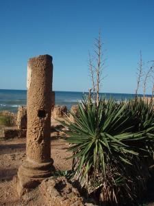 Une Colonne Romaine de Tipaza