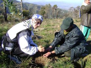 Association les amis de Chréa (Wilaya de Blida)