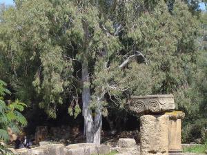 Merveilles Romaines à Tipaza