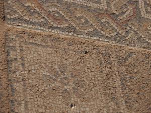 Mosaïque Romaine sur le dallage (Wilaya de Tipaza)