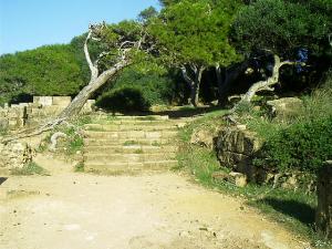 Escalier datant de l'époque Romaine à Tipaza