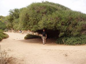 Près de la cité Romaine à Tipaza