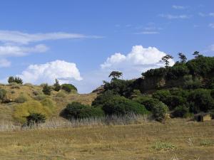 Orée de la Forêt de Tipaza
