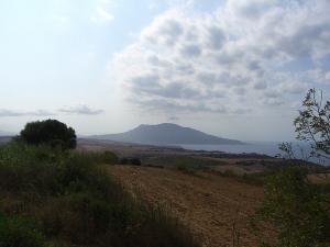 DJBEL CHENOI (TIPASA)